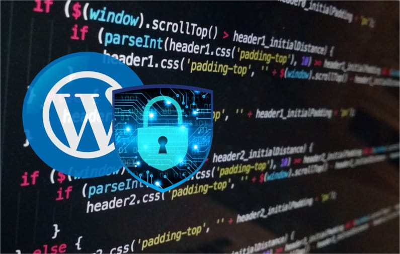 10 Coding Tips How To Secure WordPress Website